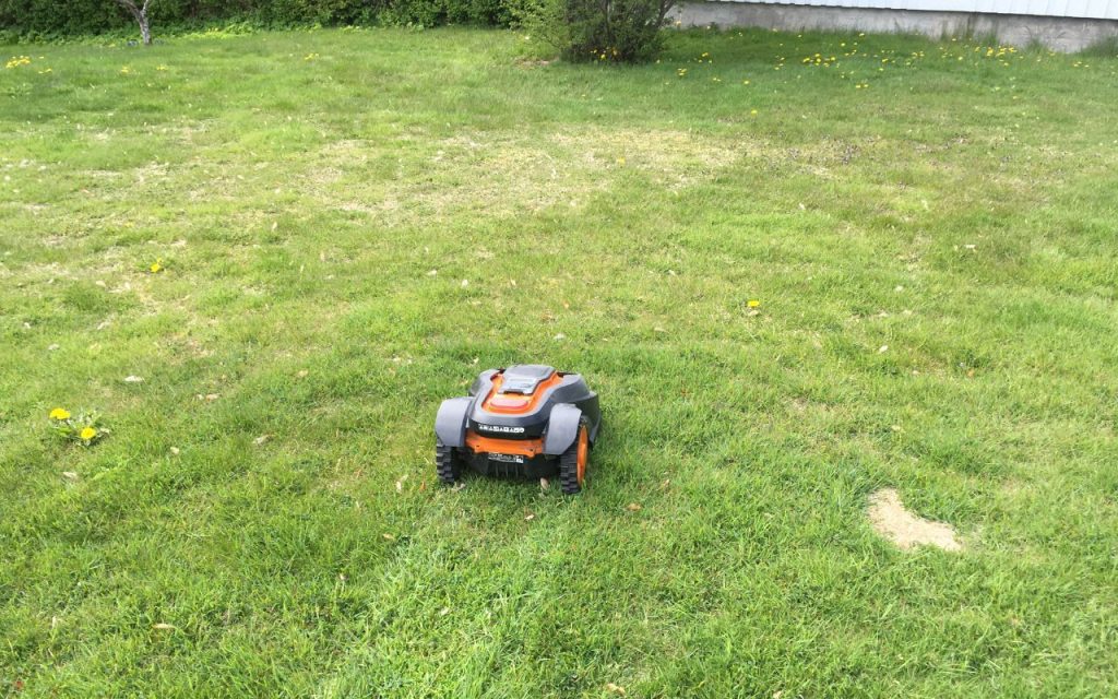 Rasenmäher-Roboter Wartung & Reparatur im 5-Seen-Land – So bleibt dein Mähroboter fit! 1 ein Rasenmäher-roboter im Rasen