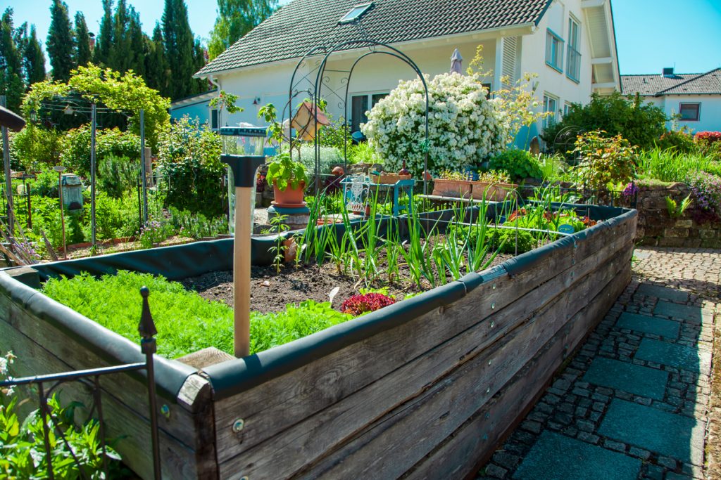 Nachhaltiger Garten - hochbeet im Garten vor einem Haus im Sommer
